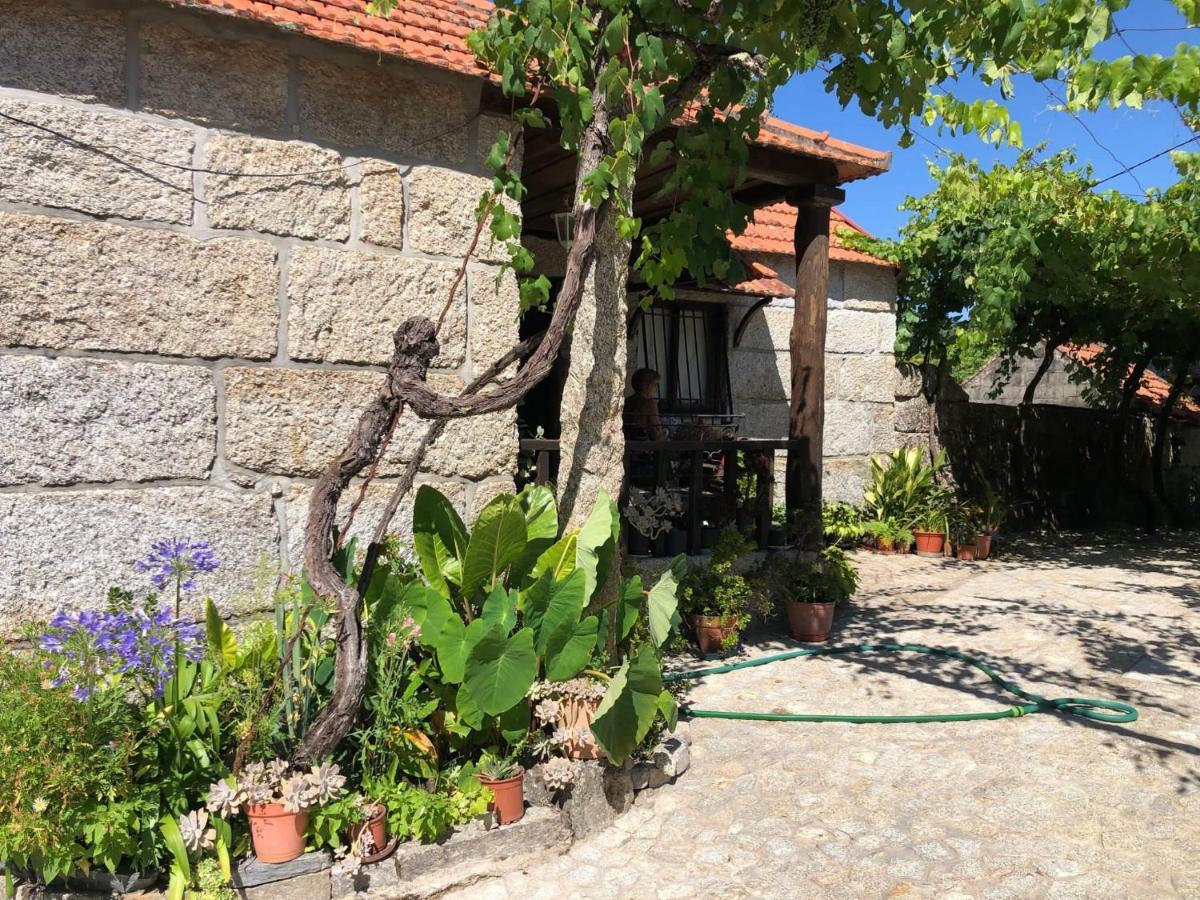 Casa campo Amarante Exterior foto